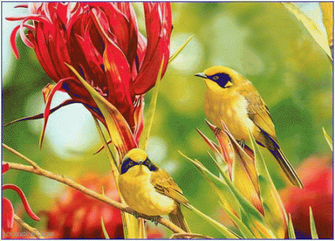 animatedbird2.gif